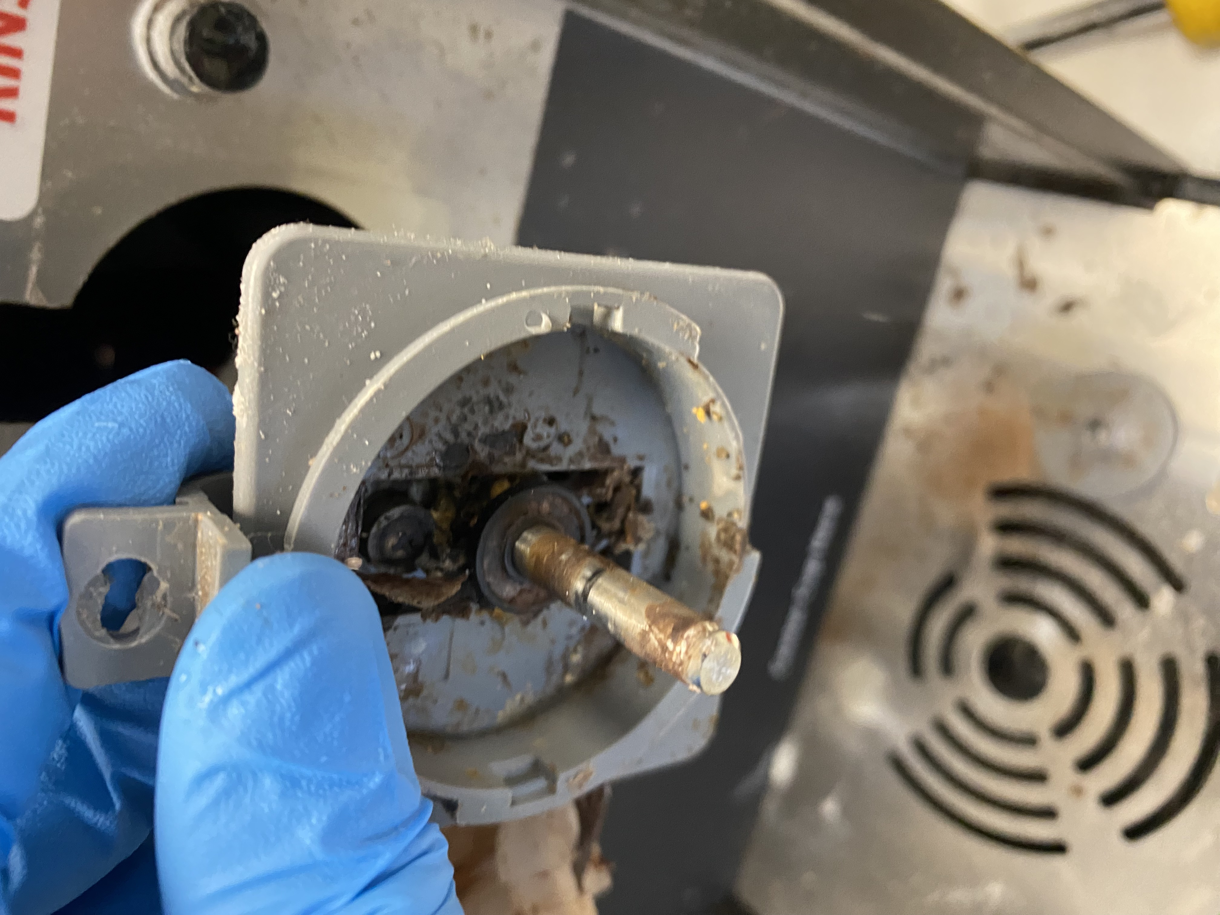 Dirty coffee equipment showing mold and poor hygiene